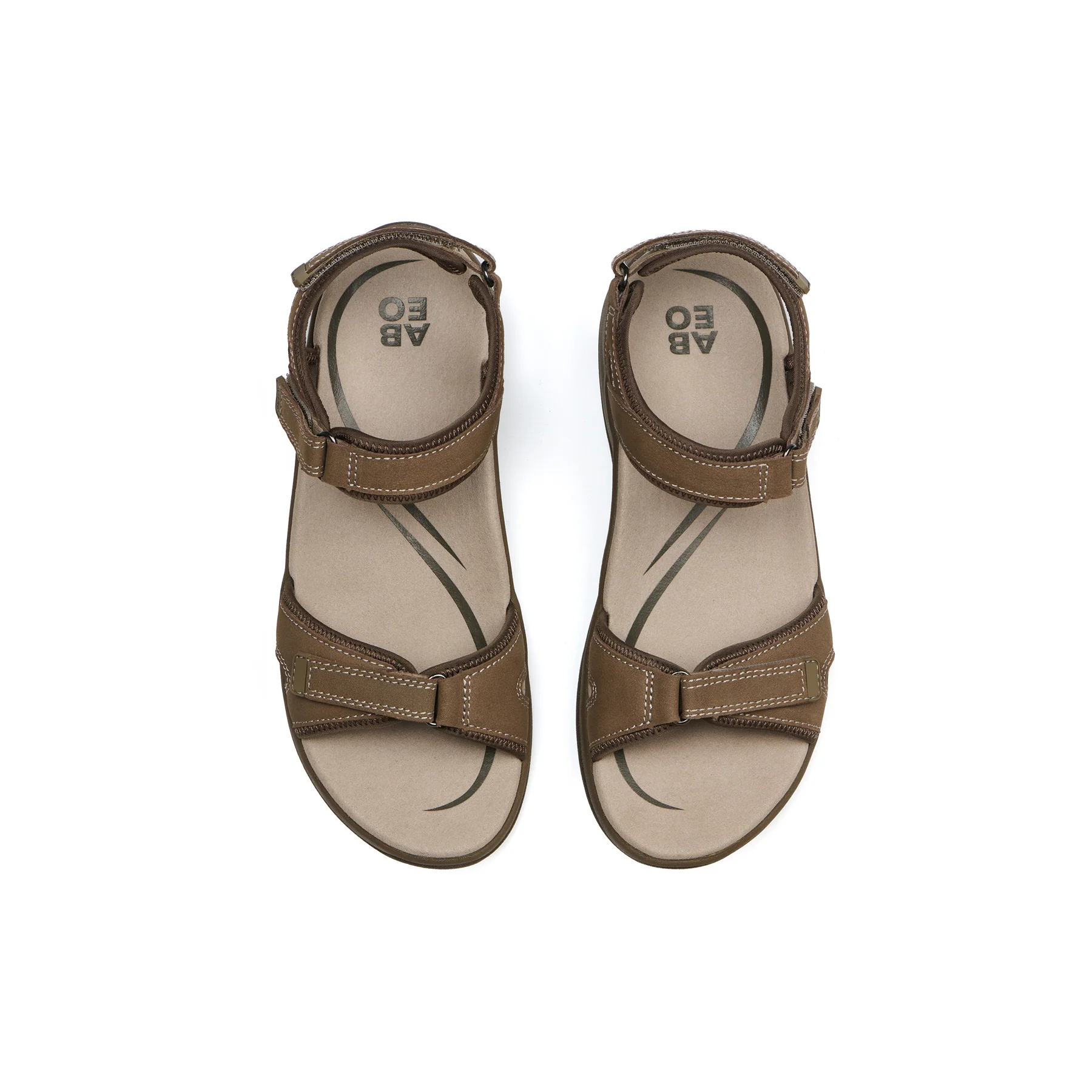 Goleta Metatarsal - Image 2