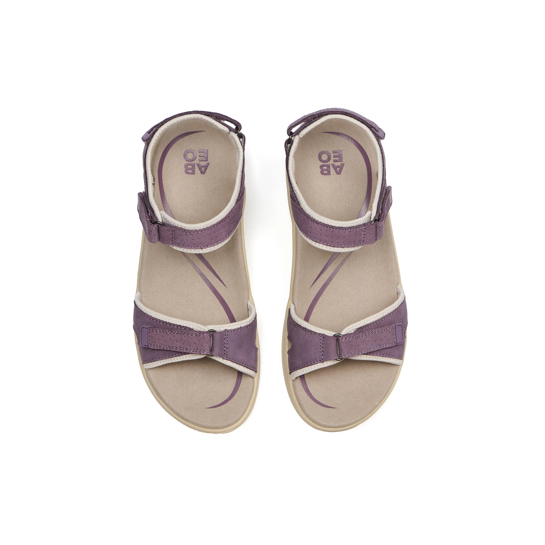 Goleta Metatarsal - Image 2