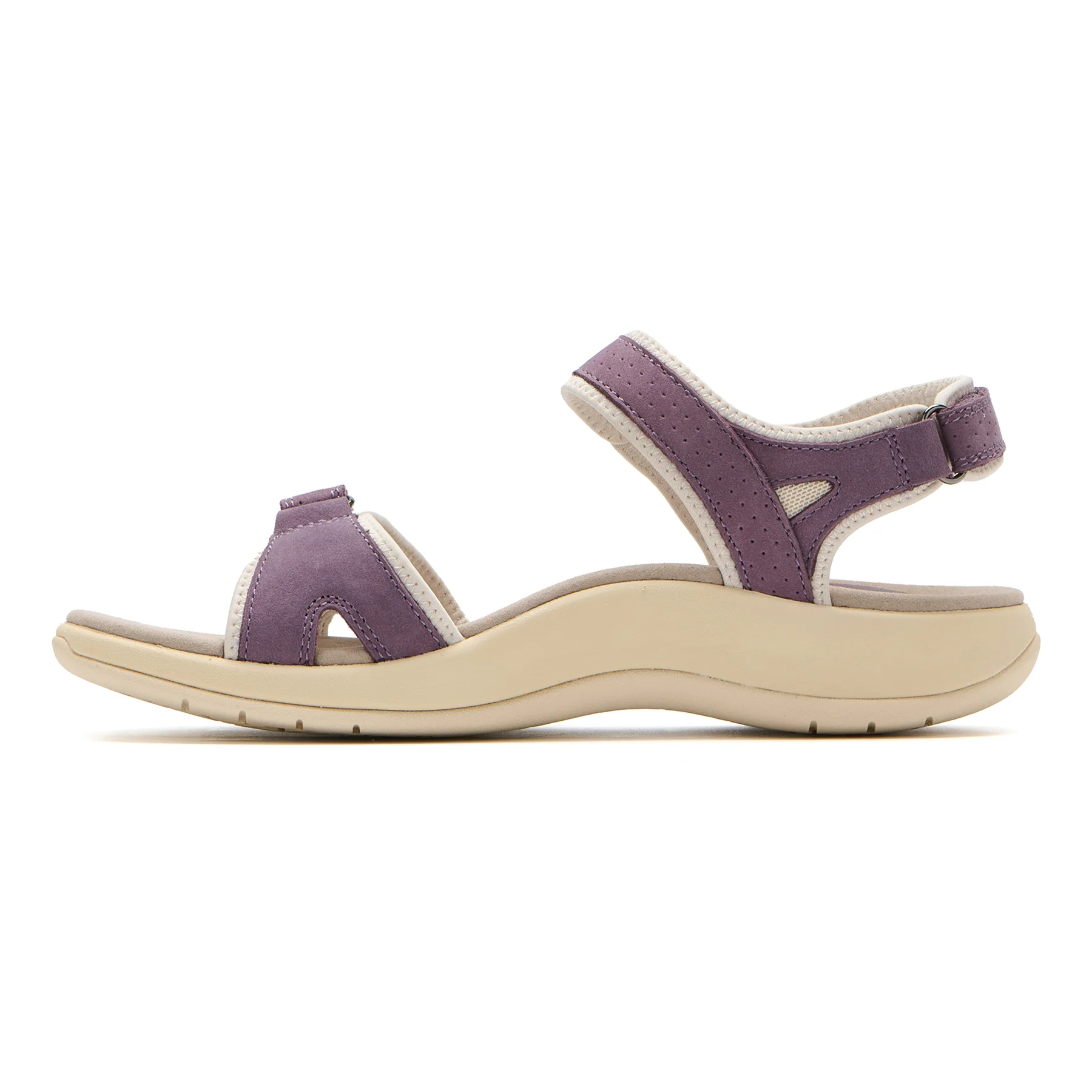 Goleta Metatarsal - Image 6